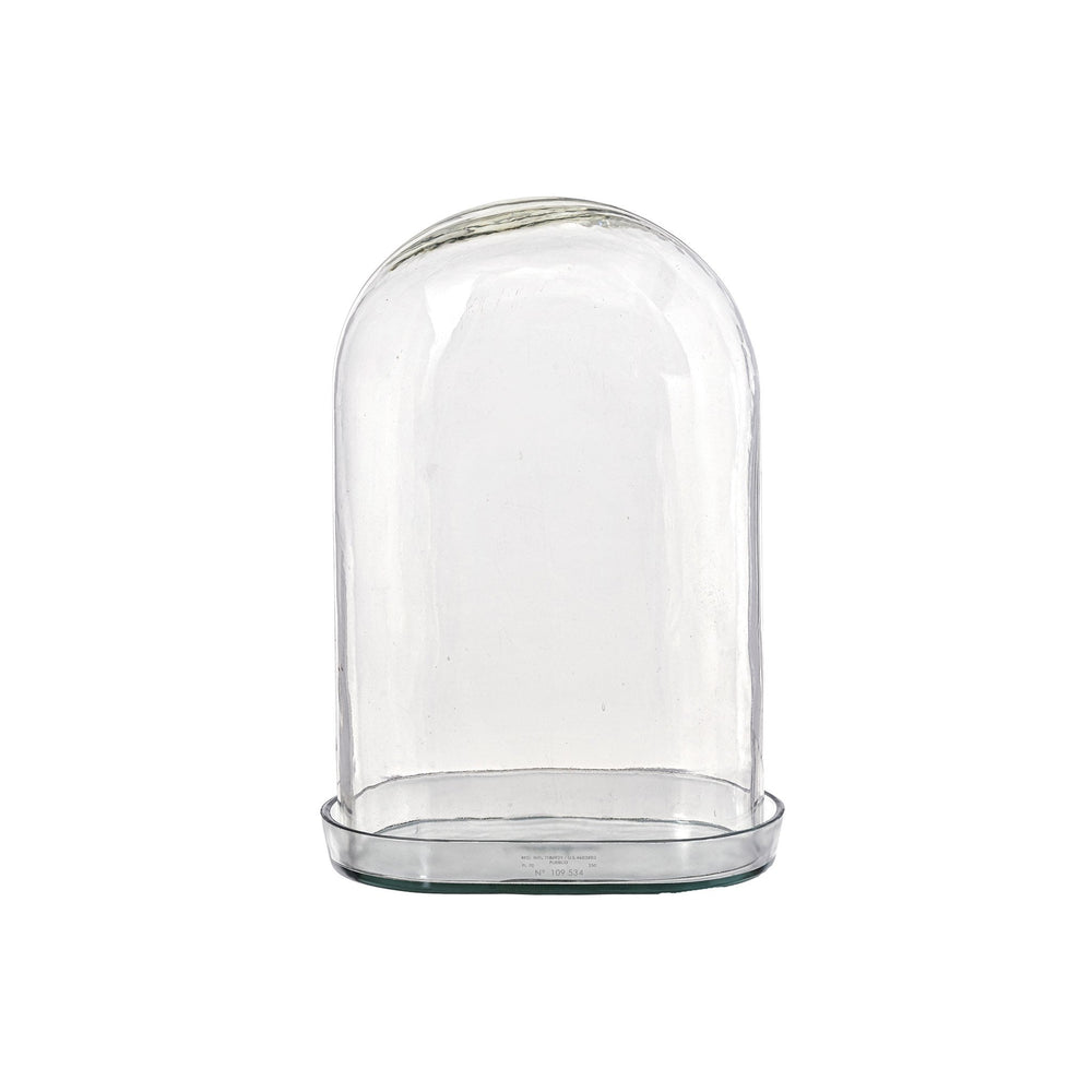 
                      
                        Glass Display Dome
                      
                    
