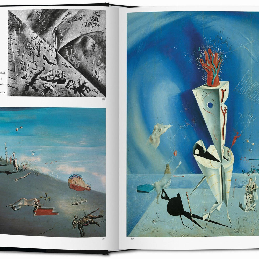 
                      
                        Dalí. La obra pictórica (Spanish)
                      
                    