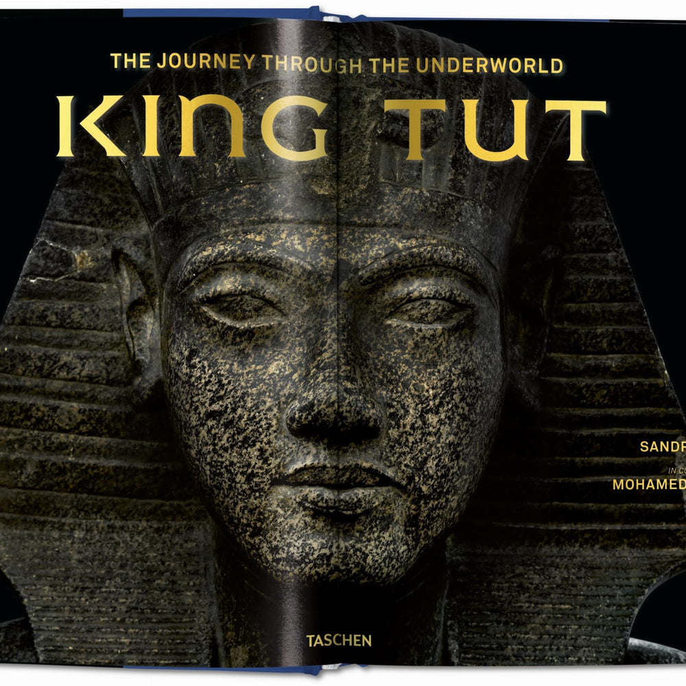King Tut. The Journey through the Underworld (English)