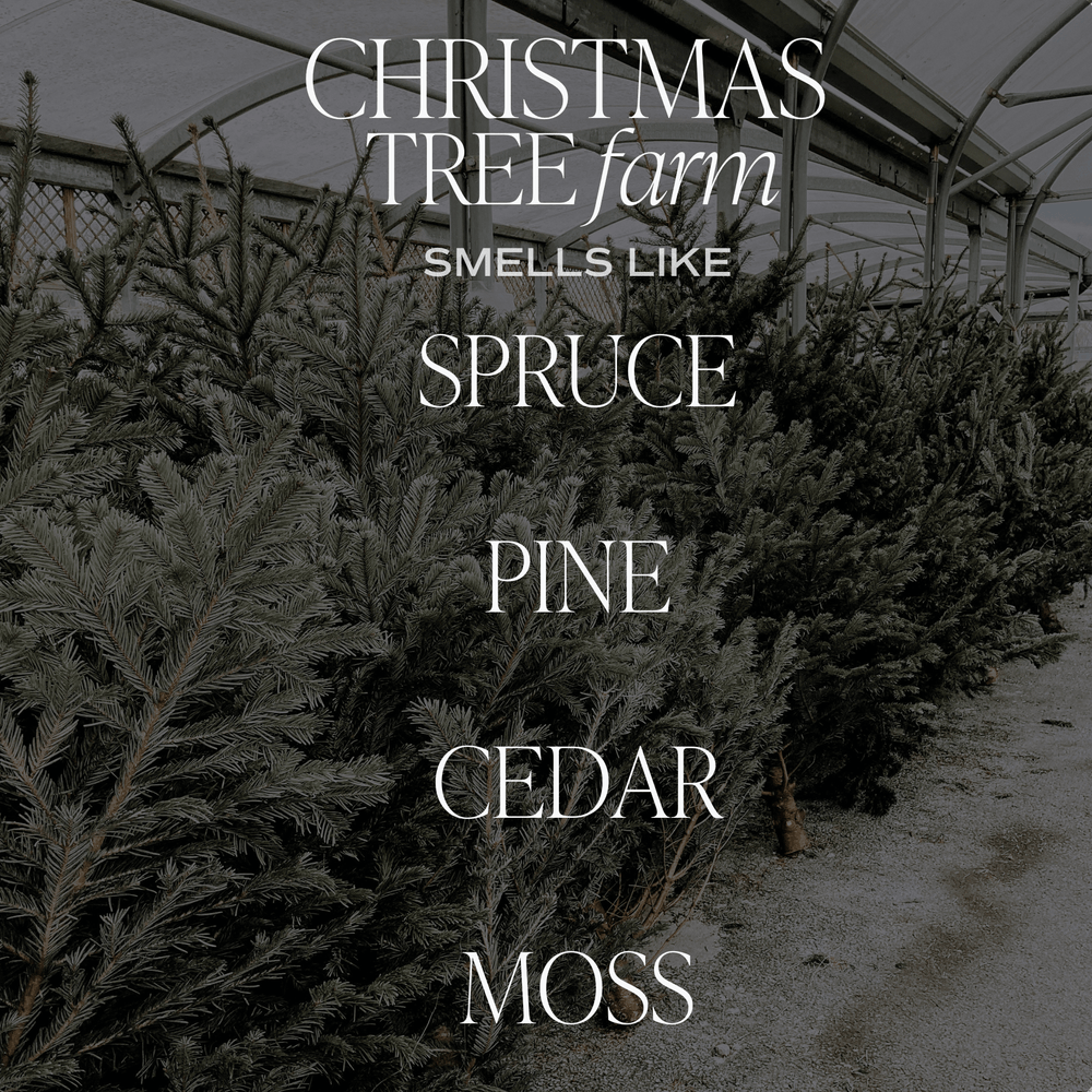 
                      
                        Christmas Tree Farm Soy Candle - Green Matte Jar - 15 oz
                      
                    