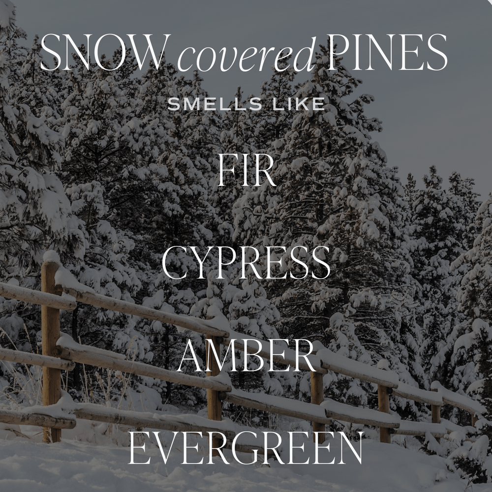 Snow Covered Pines Soy Candle - Green Matte Jar - 15 oz