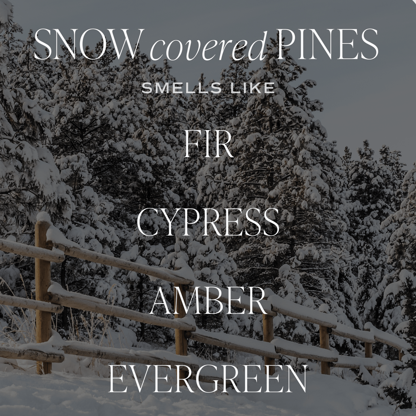 Snow Covered Pines Soy Candle - Green Matte Jar - 15 oz