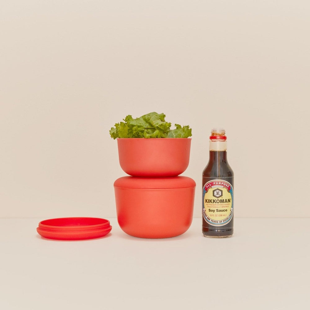 
                      
                        EKOBO 25 oz Store & Go Food Container - Persimmon - lily & onyx
                      
                    