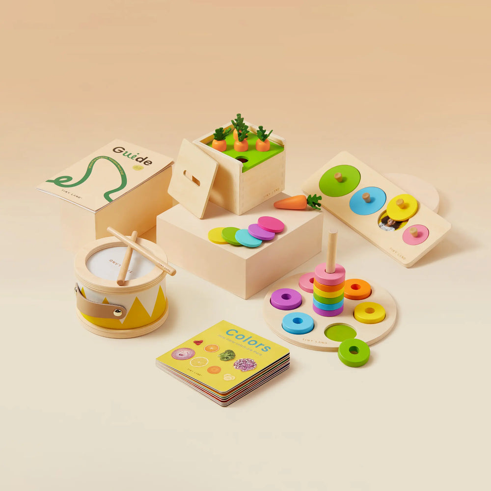 
                      
                        Tiny Land® Montessori Toys Set for Toddlers (13-15 month)
                      
                    
