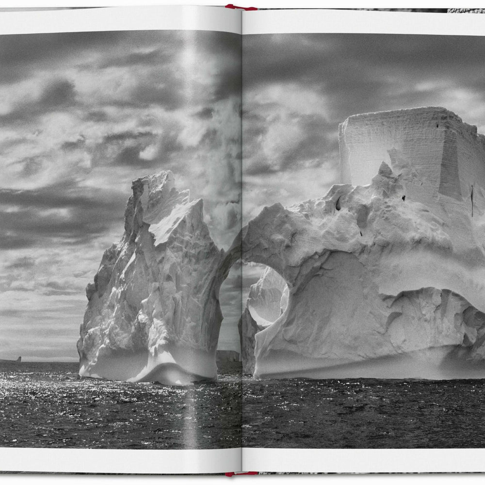 
                      
                        Sebastião Salgado. Genesis (French)
                      
                    