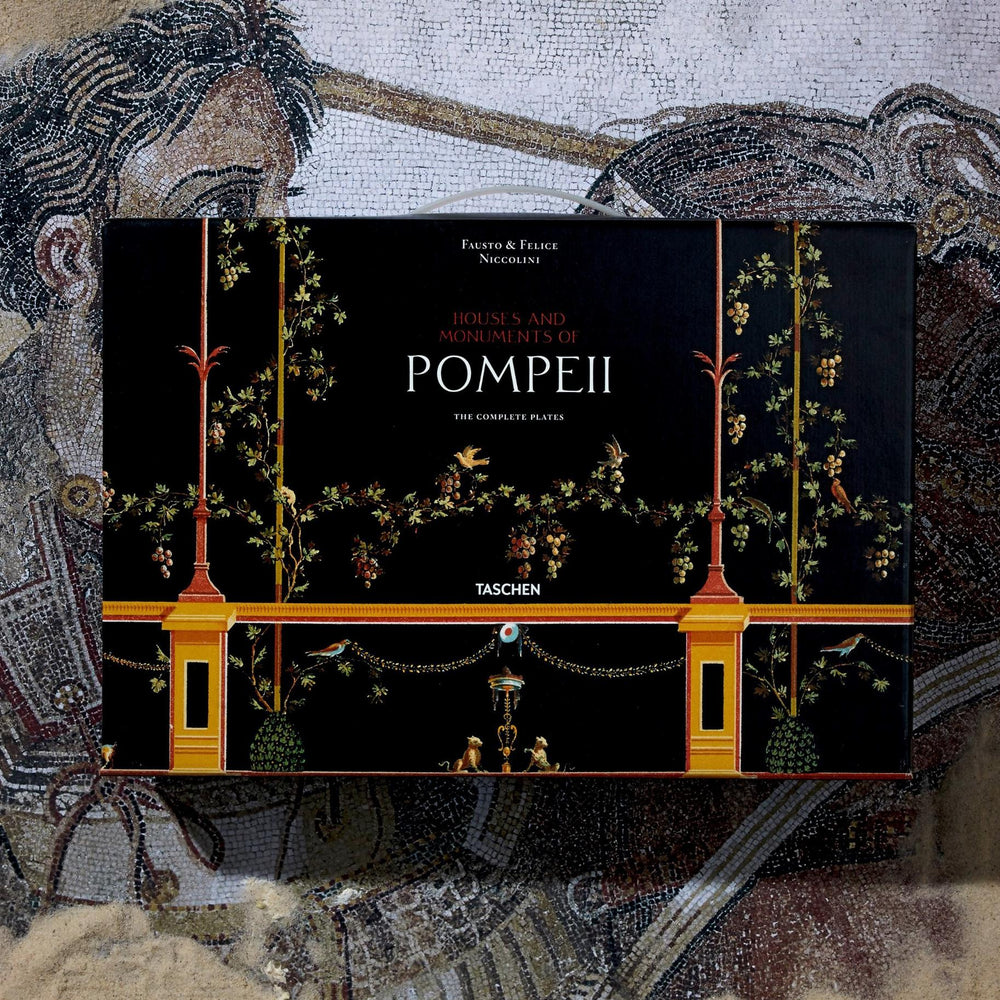 
                      
                        Fausto & Felice Niccolini. Houses and Monuments of Pompeii (German, French, English)
                      
                    