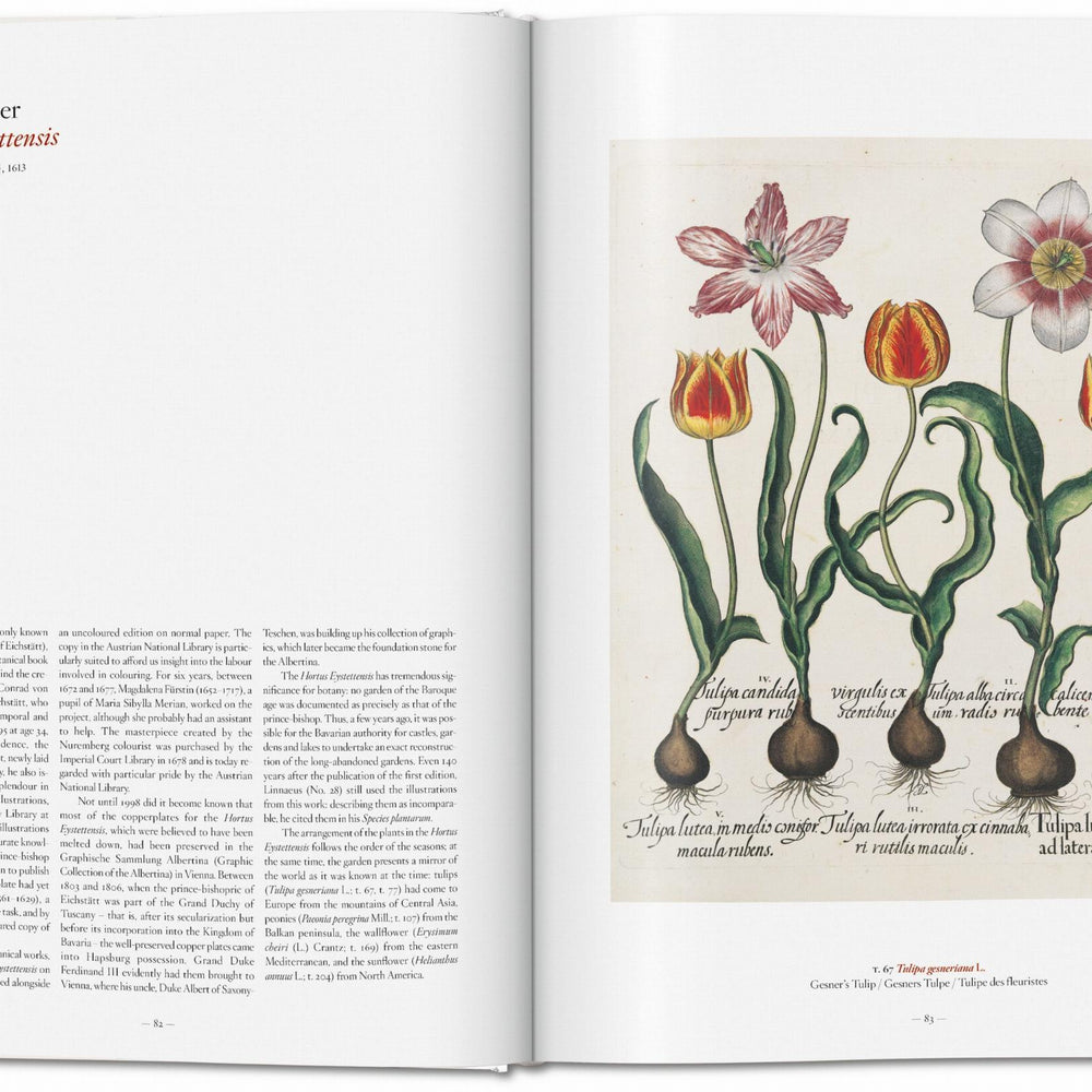 
                      
                        A Garden Eden. Masterpieces of Botanical Illustration (German, French, English)
                      
                    