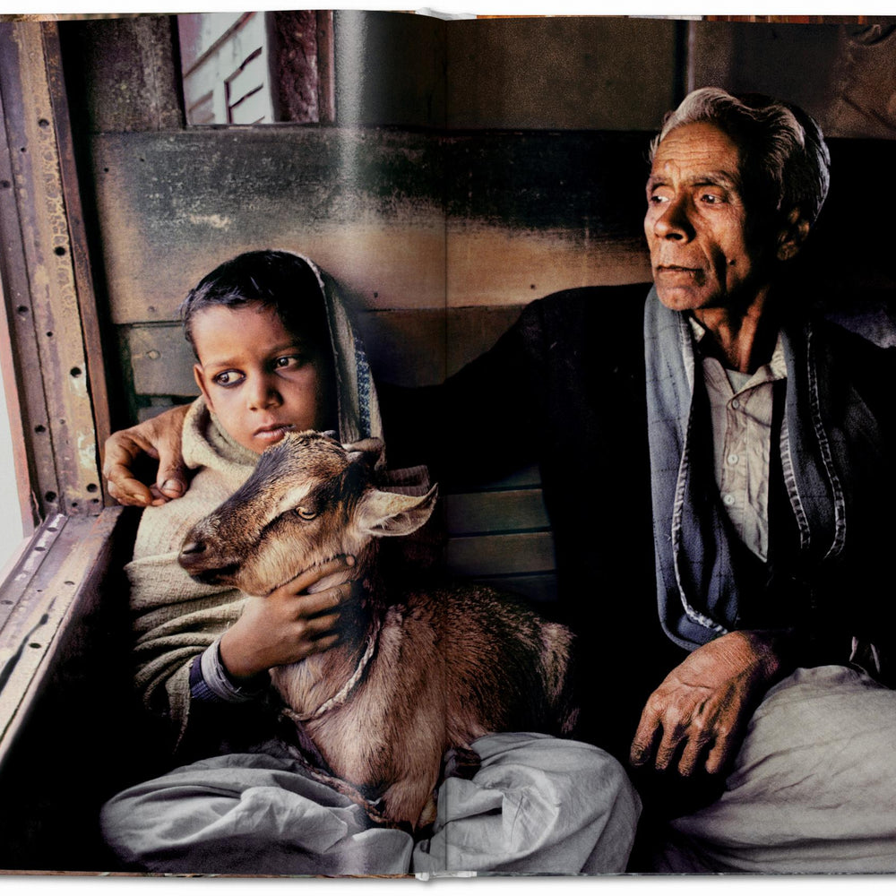 
                      
                        Steve McCurry. Animals (English)
                      
                    