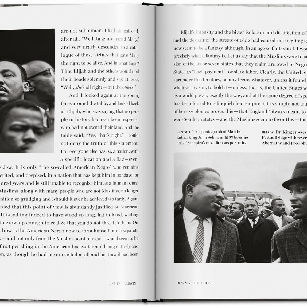 
                      
                        James Baldwin. Steve Schapiro. The Fire Next Time (English)
                      
                    