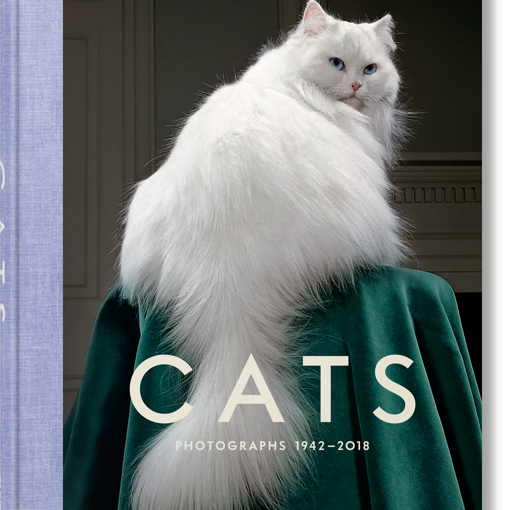 Walter Chandoha. Cats. Photographs 1942–2018 (German, French, English)