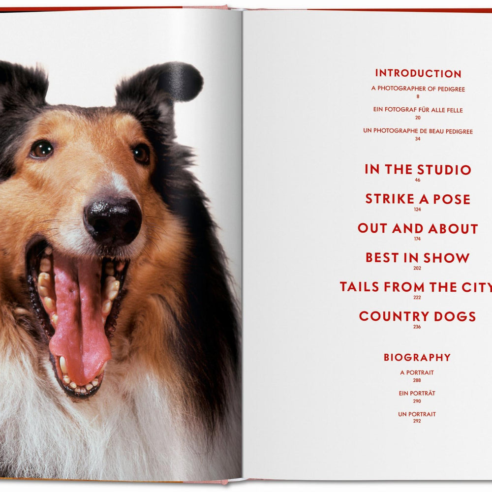 
                      
                        Walter Chandoha. Dogs. Photographs 1941–1991 (German, French, English)
                      
                    