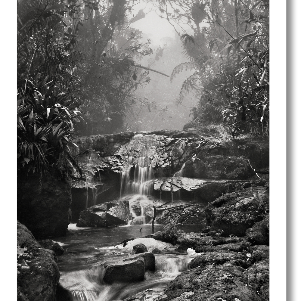 
                      
                        Sebastião Salgado. Amazônia. Poster ‘Creek’
                      
                    
