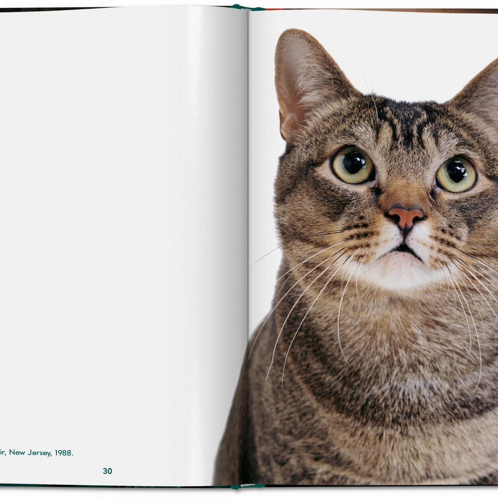 
                      
                        Walter Chandoha. Cats. Photographs 1942–2018 (English)
                      
                    
