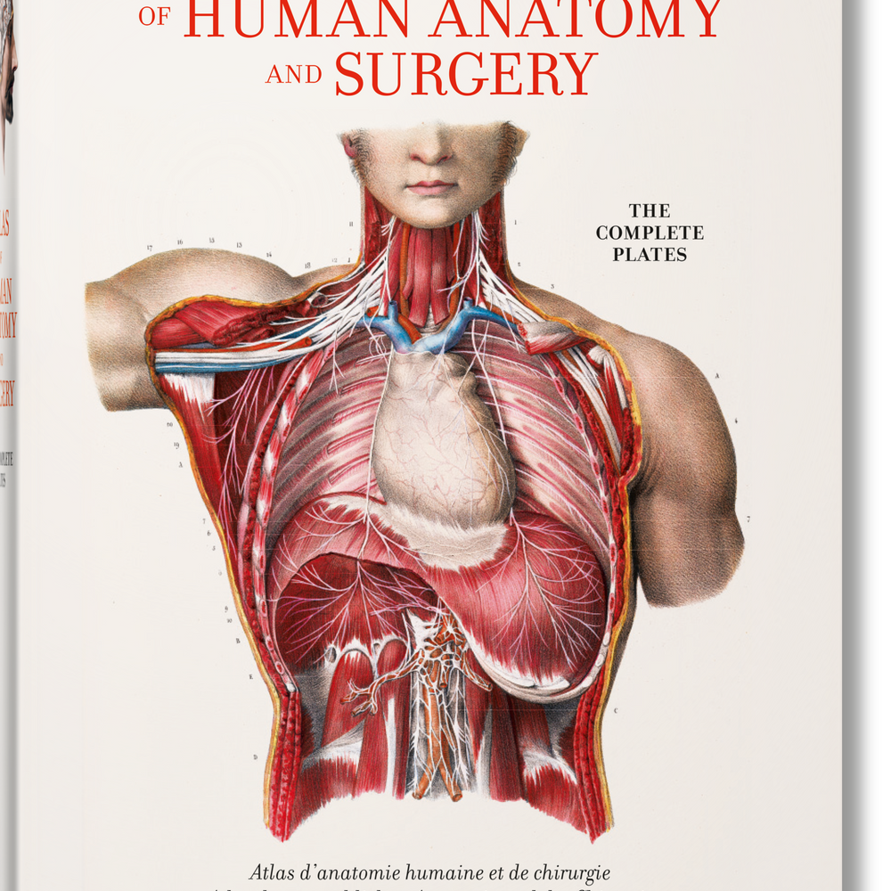 
                      
                        Bourgery. Atlas of Human Anatomy and Surgery (German, French, English)
                      
                    