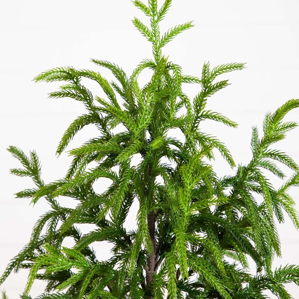 
                      
                        Nearly Natural 4' Artificial Norfolk Pine Tree - lily & onyx
                      
                    