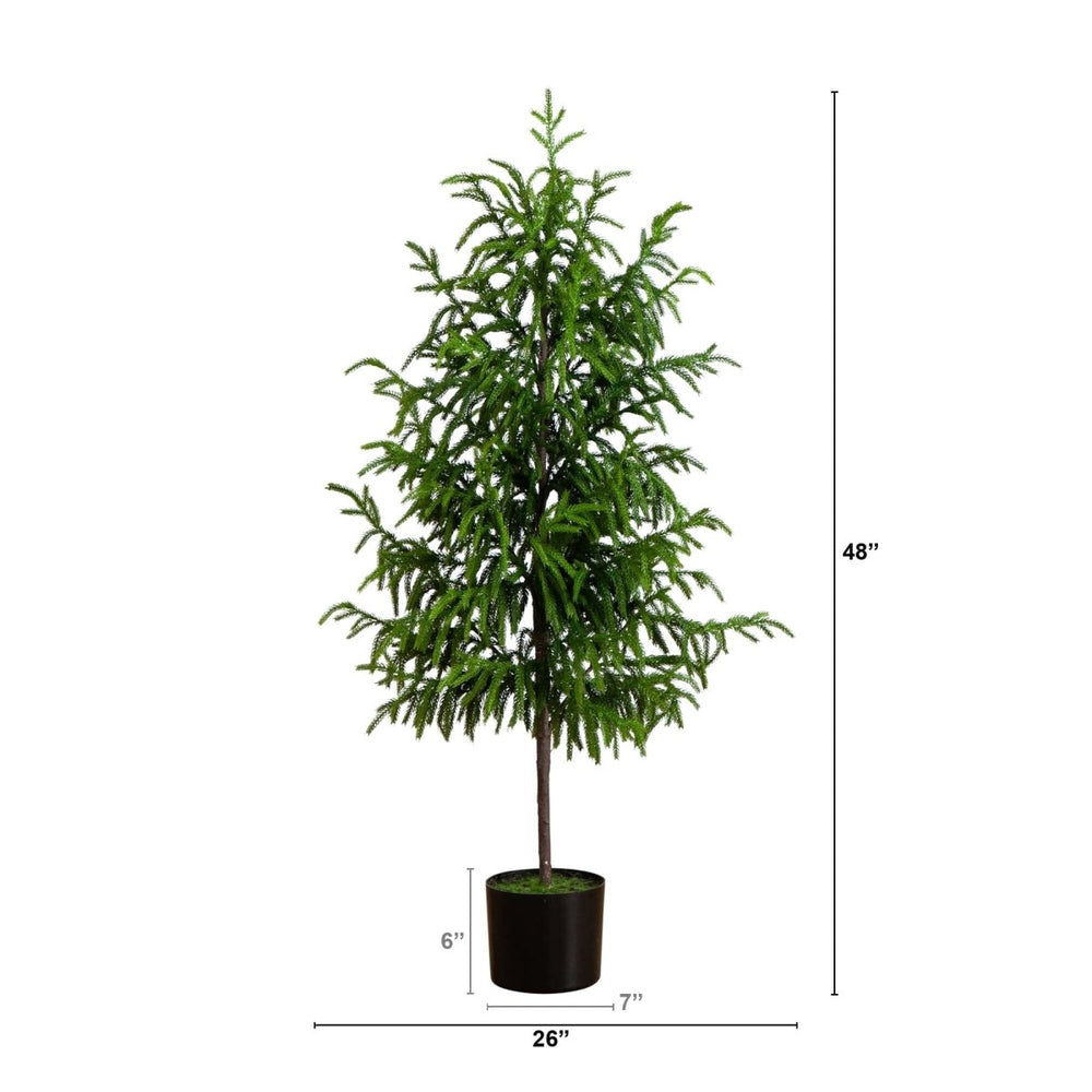 
                      
                        Nearly Natural 4' Artificial Norfolk Pine Tree - lily & onyx
                      
                    