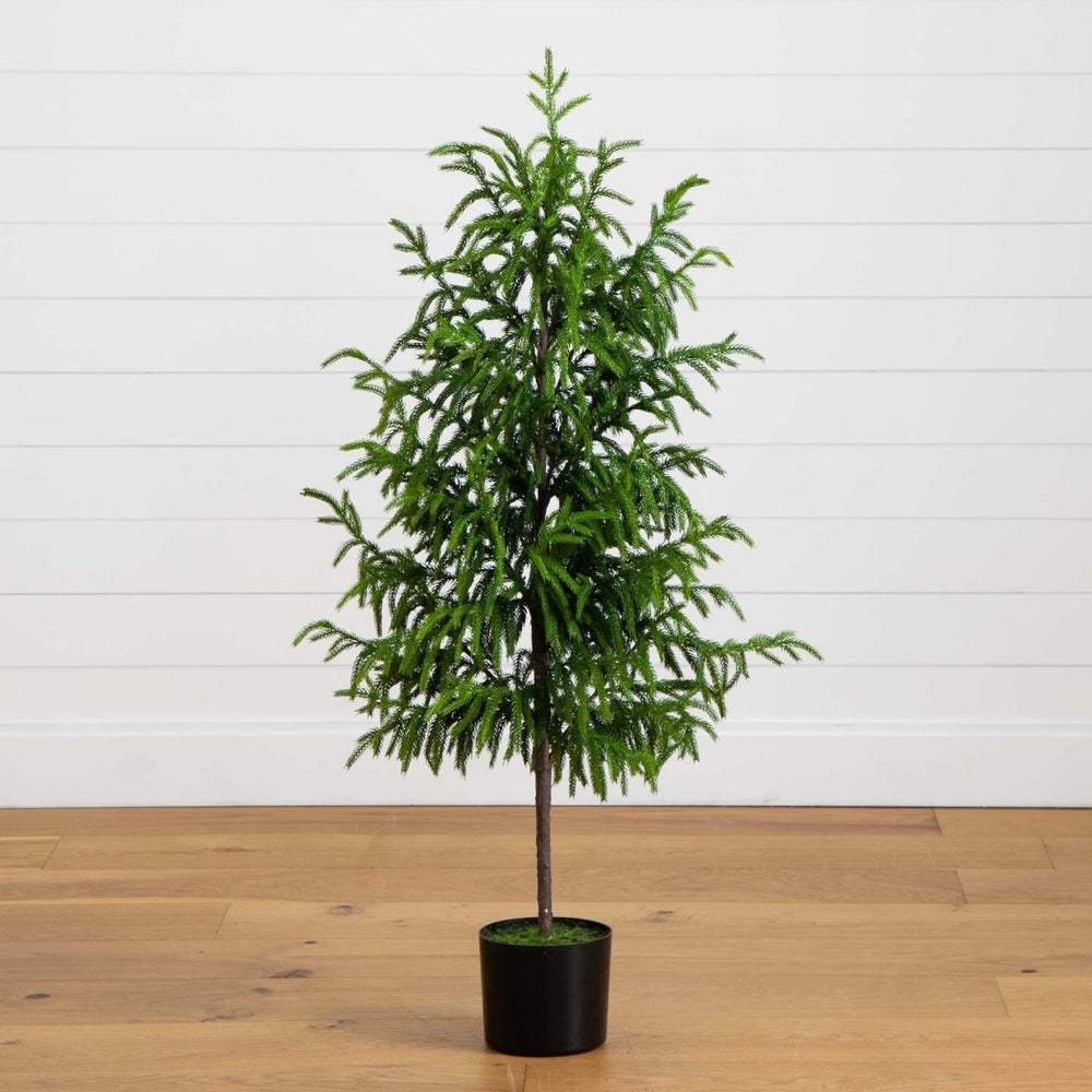 
                      
                        Nearly Natural 4' Artificial Norfolk Pine Tree - lily & onyx
                      
                    