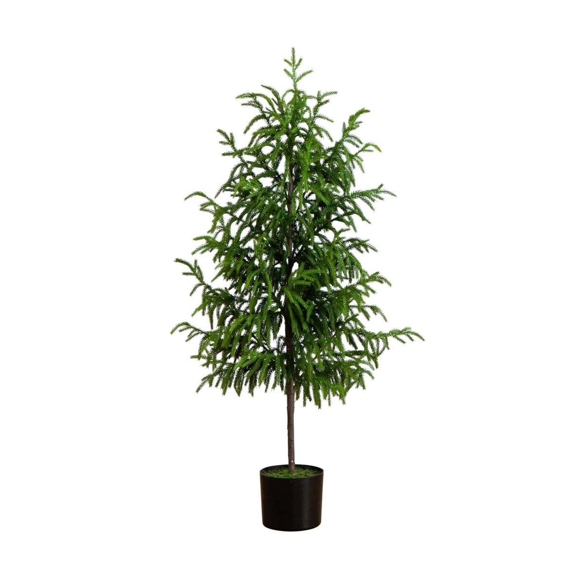 Nearly Natural 4' Artificial Norfolk Pine Tree - lily & onyx