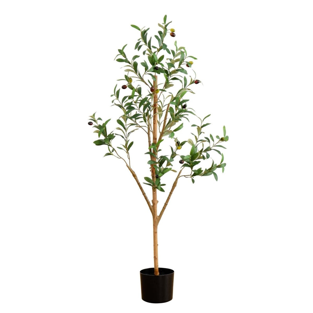 
                      
                        Nearly Natural 4’ Artificial Olive Tree with Natural Trunk - lily & onyx
                      
                    