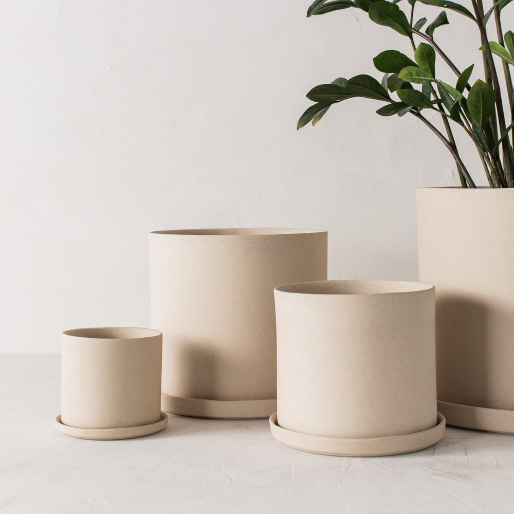 
                      
                        CONVIVIAL 4" Minimal Planter | Raw Stoneware - lily & onyx
                      
                    