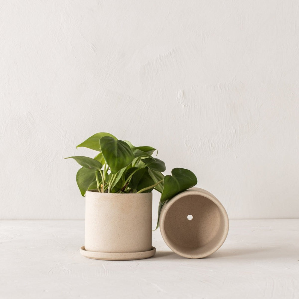 CONVIVIAL 4" Minimal Planter | Raw Stoneware - lily & onyx