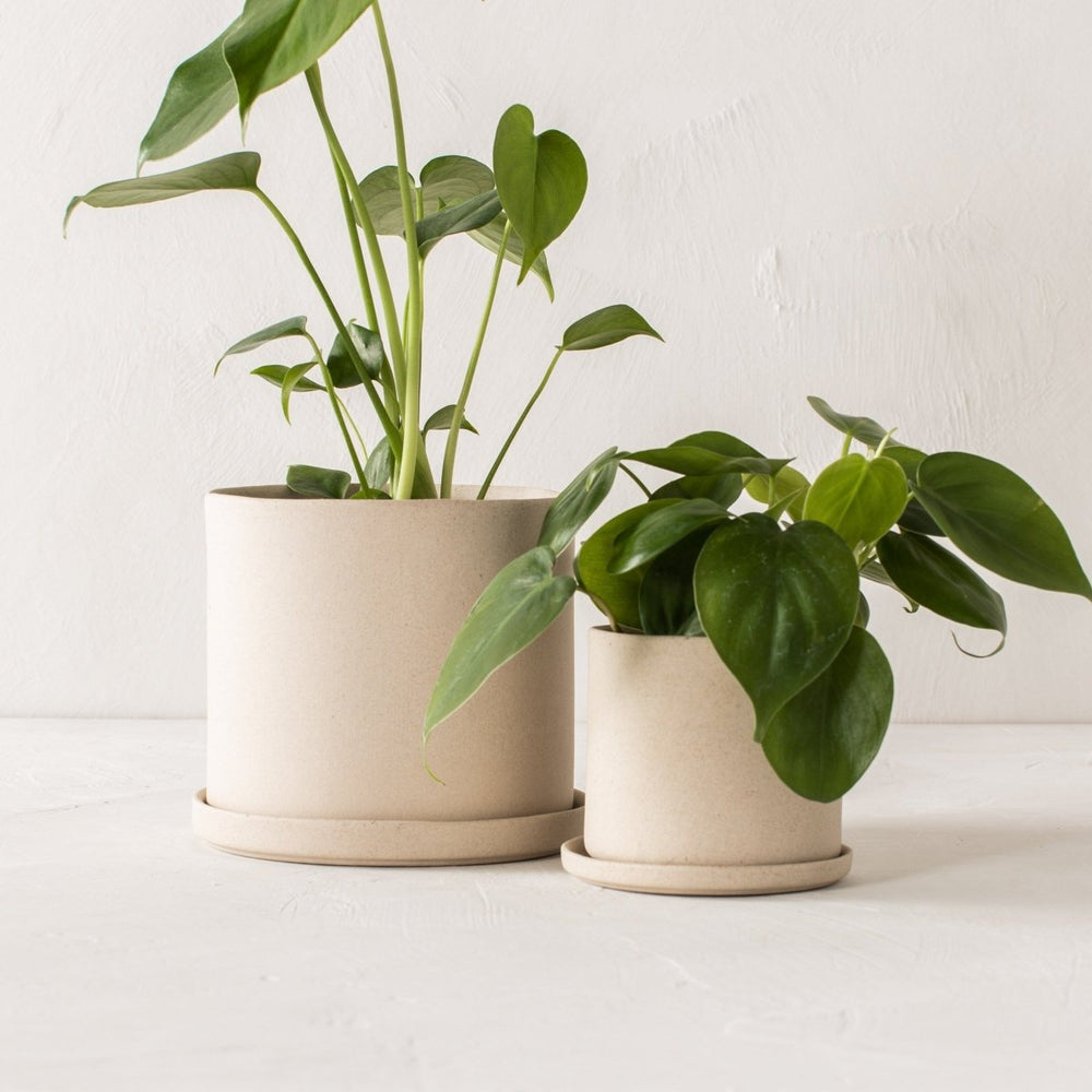 
                      
                        CONVIVIAL 4" Minimal Planter | Raw Stoneware - lily & onyx
                      
                    