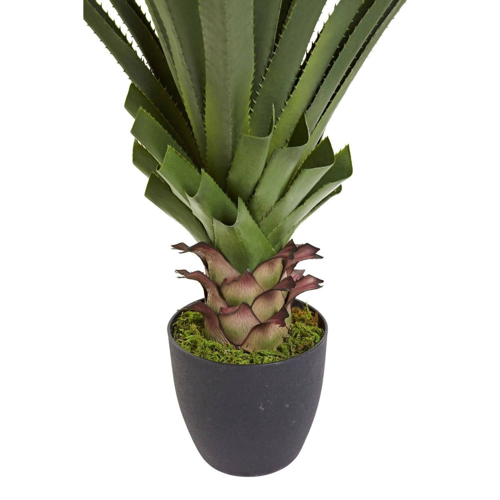 
                      
                        Nearly Natural 4’ Spiked Agave Plant
                      
                    