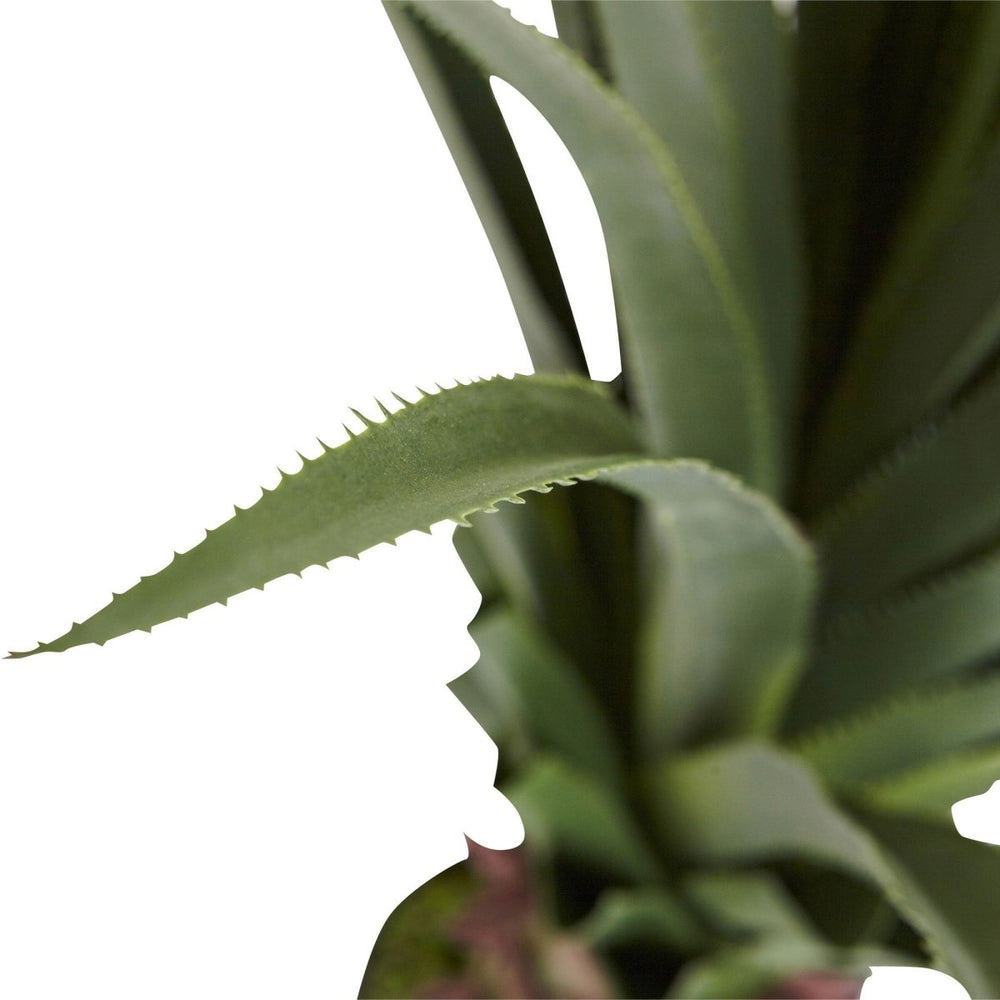 
                      
                        Nearly Natural 4’ Spiked Agave Plant
                      
                    