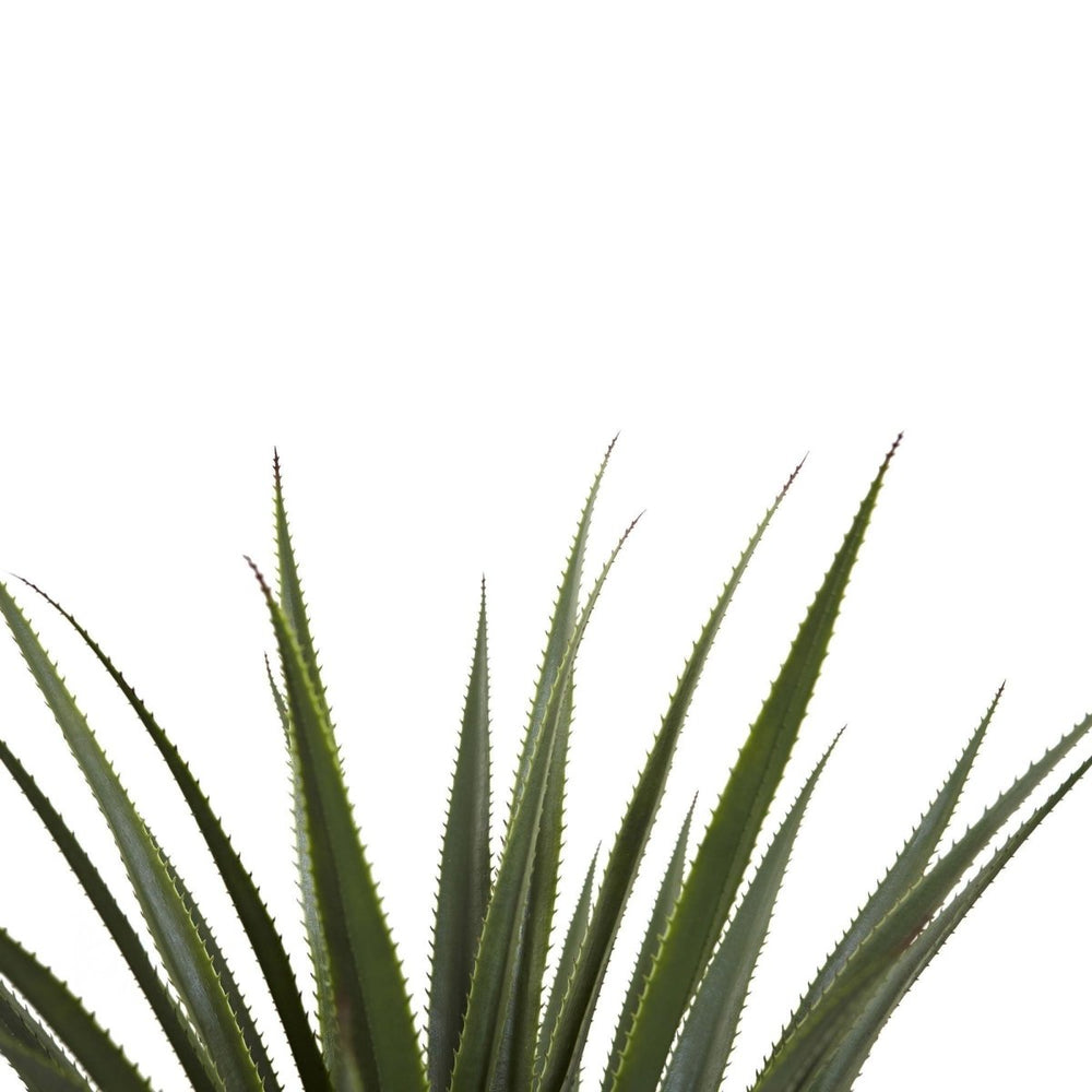 
                      
                        Nearly Natural 4’ Spiked Agave Plant
                      
                    