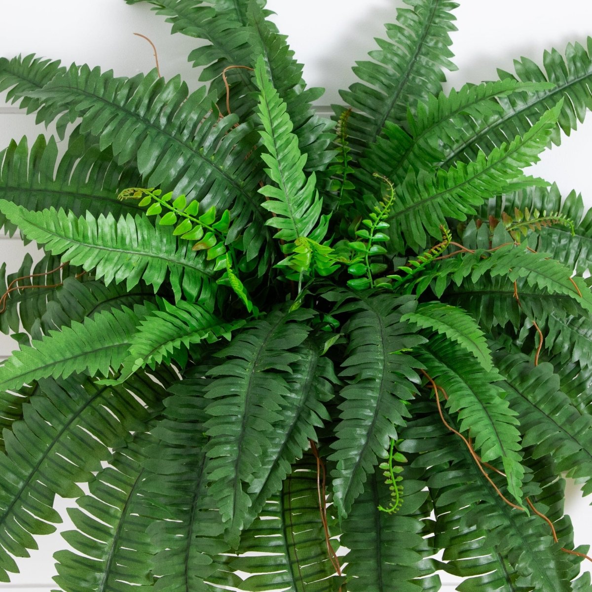 Nearly Natural 40” Artificial Boston Fern, Set of 2 - lily & onyx