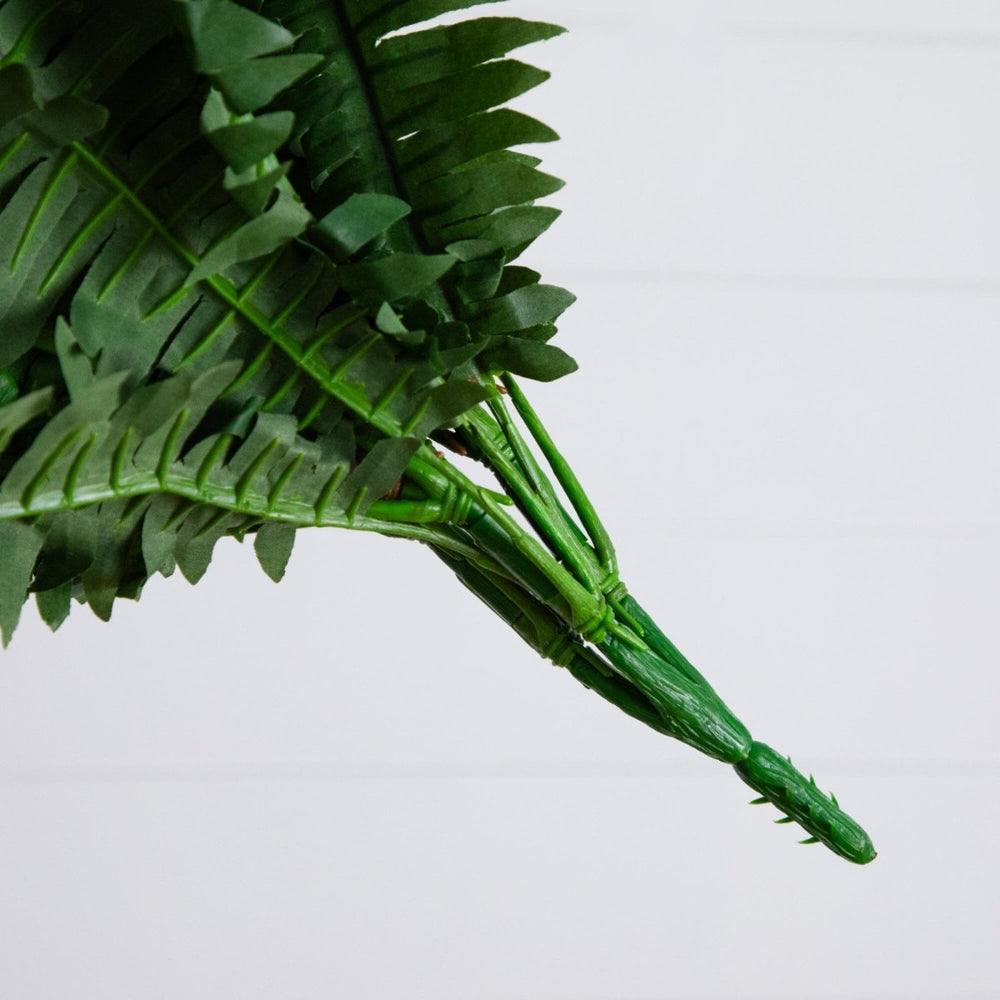 
                      
                        Nearly Natural 40” Artificial Boston Fern, Set of 2 - lily & onyx
                      
                    