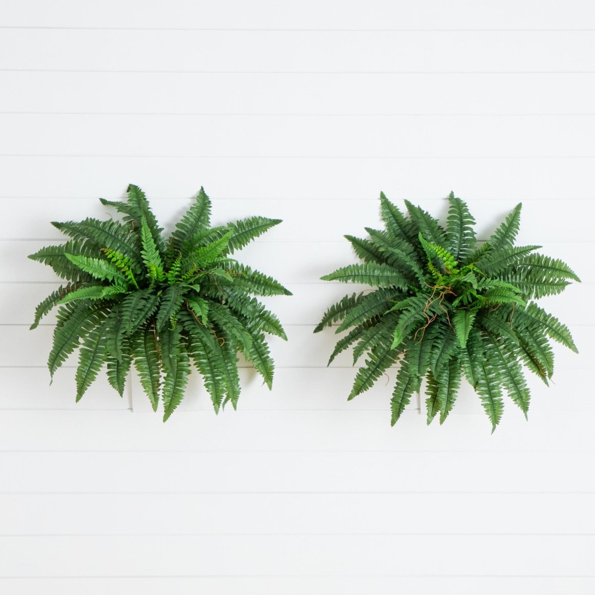 Nearly Natural 40” Artificial Boston Fern, Set of 2 - lily & onyx