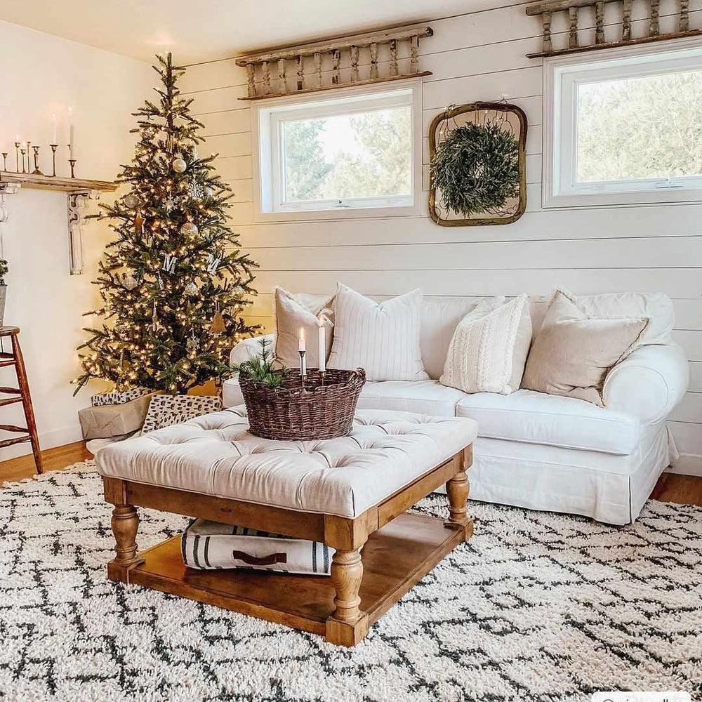 Pahala Area Rug