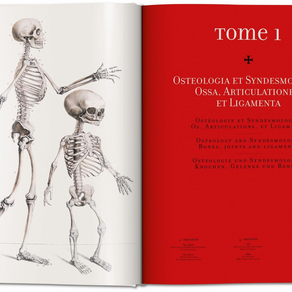 
                      
                        Bourgery. Atlas of Human Anatomy and Surgery (German, French, English)
                      
                    