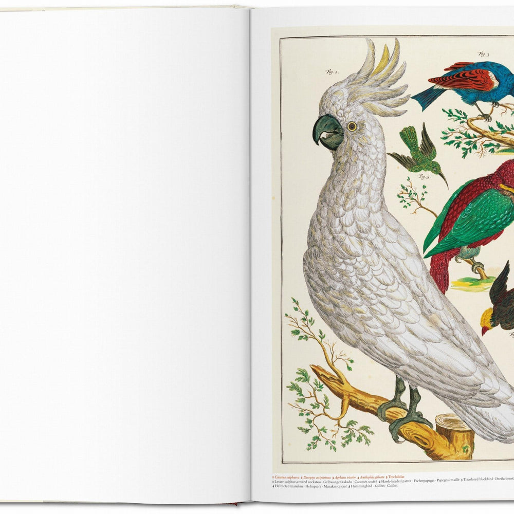 
                      
                        Seba. Cabinet of Natural Curiosities (German, French, English)
                      
                    