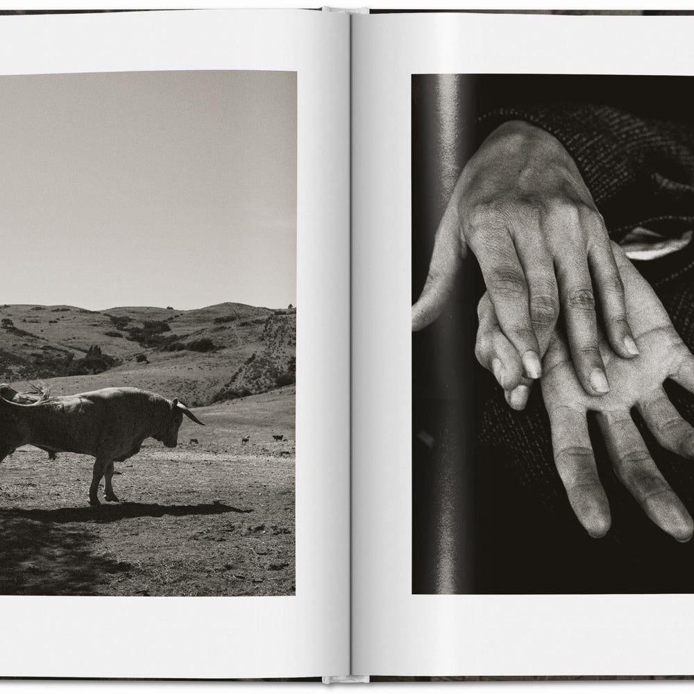 
                      
                        Peter Lindbergh. Untold Stories (English)
                      
                    