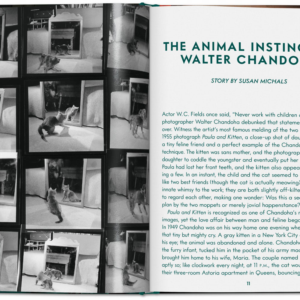Walter Chandoha. Cats. Photographs 1942–2018 (English)