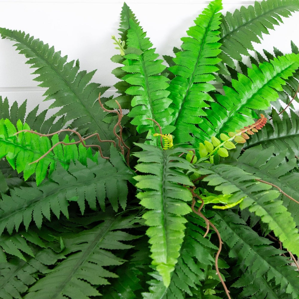 
                      
                        Nearly Natural 48” Boston Fern, Set of 2 - lily & onyx
                      
                    