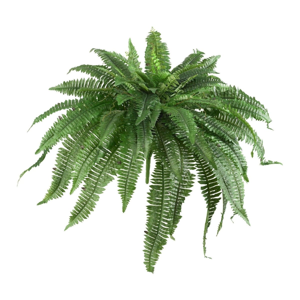 Nearly Natural 48” Boston Fern, Set of 2 - lily & onyx