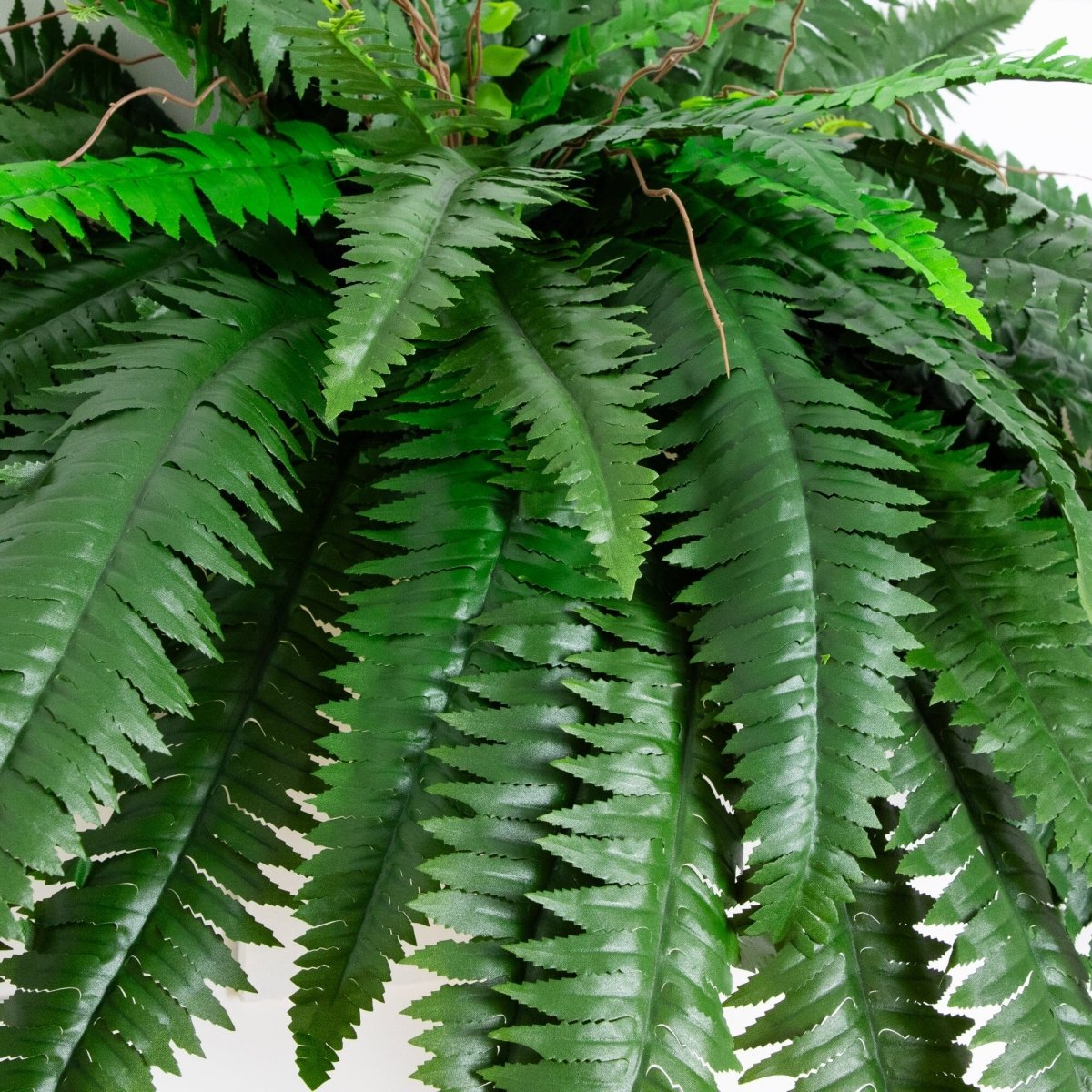 Nearly Natural 48” Boston Fern, Set of 2 - lily & onyx