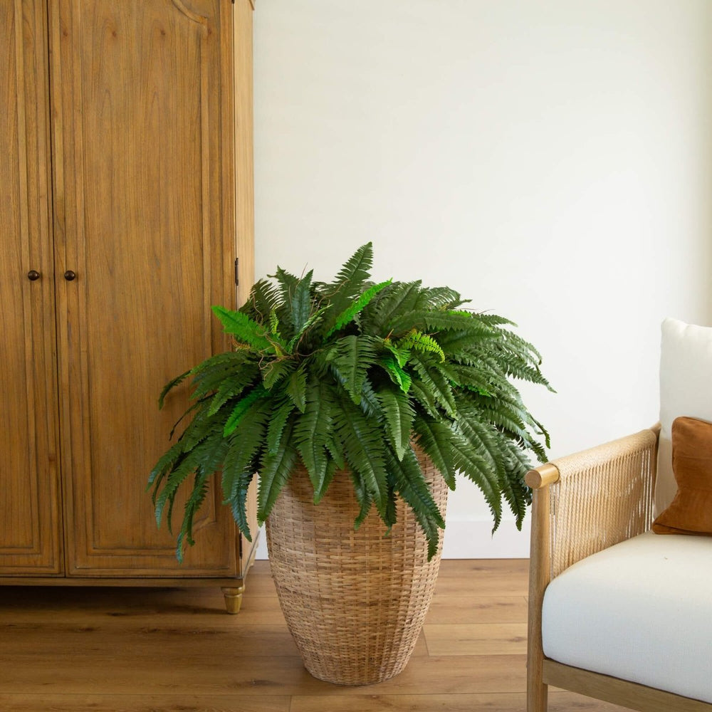 
                      
                        Nearly Natural 48” Boston Fern, Set of 2 - lily & onyx
                      
                    