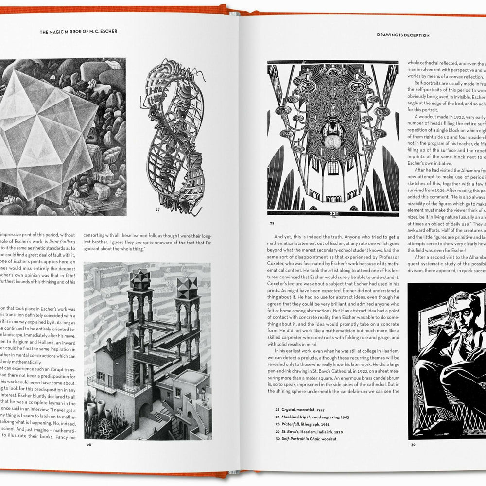 
                      
                        El espejo mágico de M.C. Escher (Spanish)
                      
                    