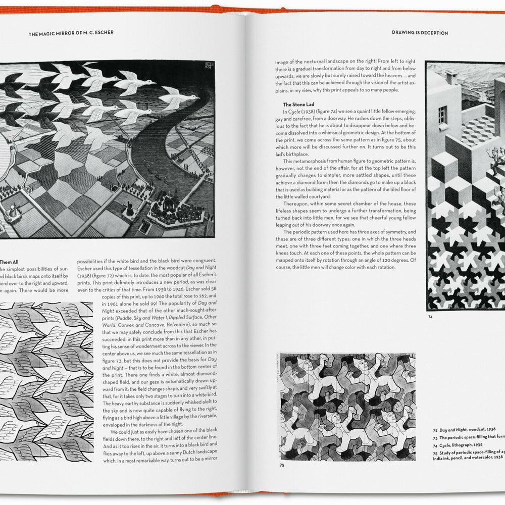 
                      
                        El espejo mágico de M.C. Escher (Spanish)
                      
                    