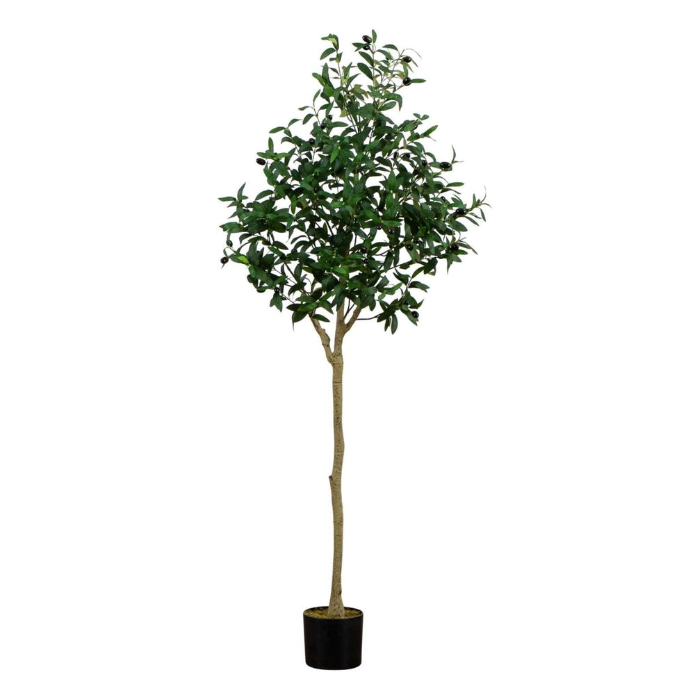 
                      
                        Nearly Natural 5’ Artificial Olive Tree - lily & onyx
                      
                    