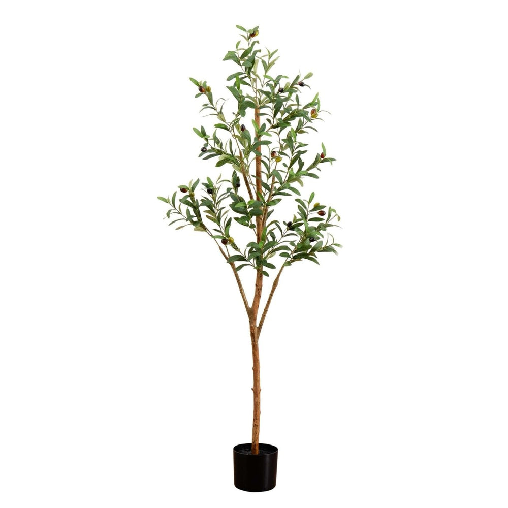 
                      
                        Nearly Natural 5’ Artificial Olive Tree with Natural Trunk - lily & onyx
                      
                    