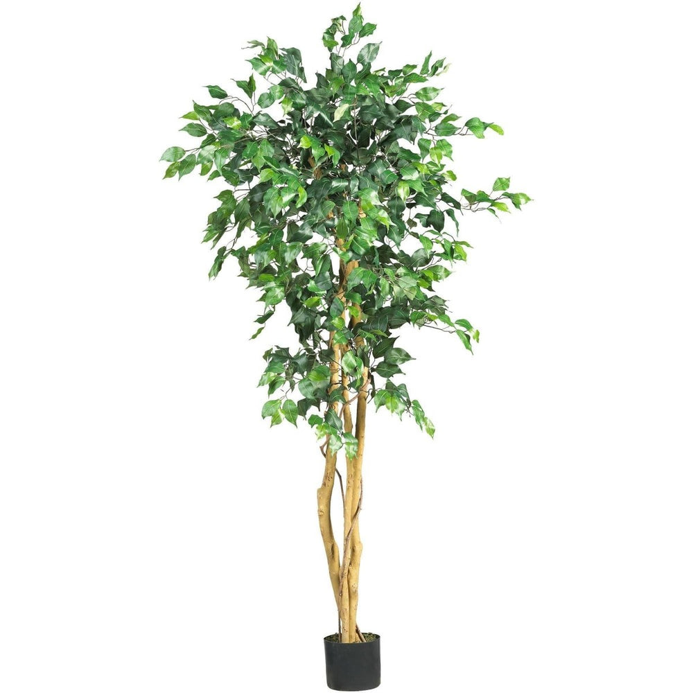 
                      
                        Nearly Natural 5' Ficus Silk Tree - lily & onyx
                      
                    