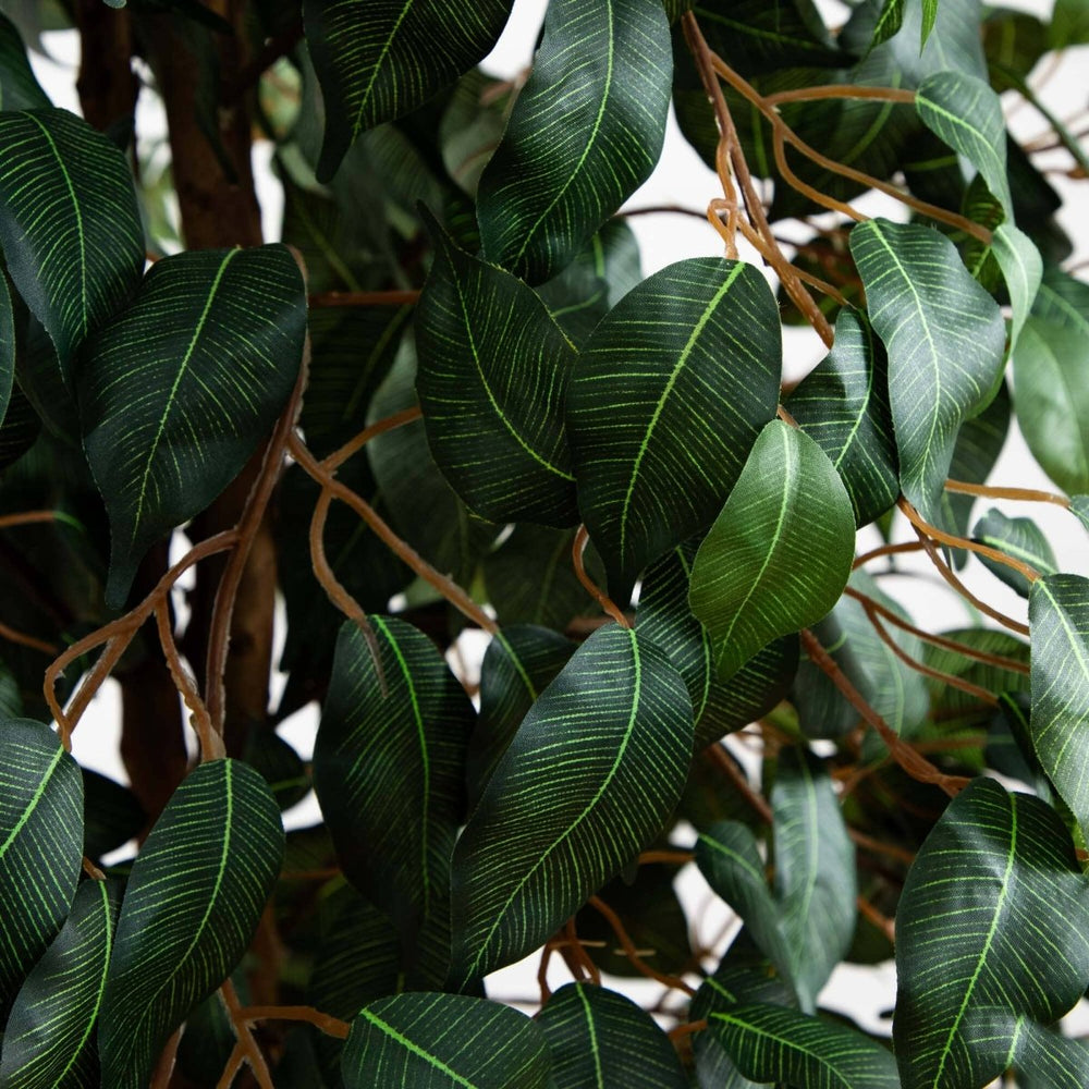 
                      
                        Nearly Natural 5' Ficus Silk Tree - lily & onyx
                      
                    