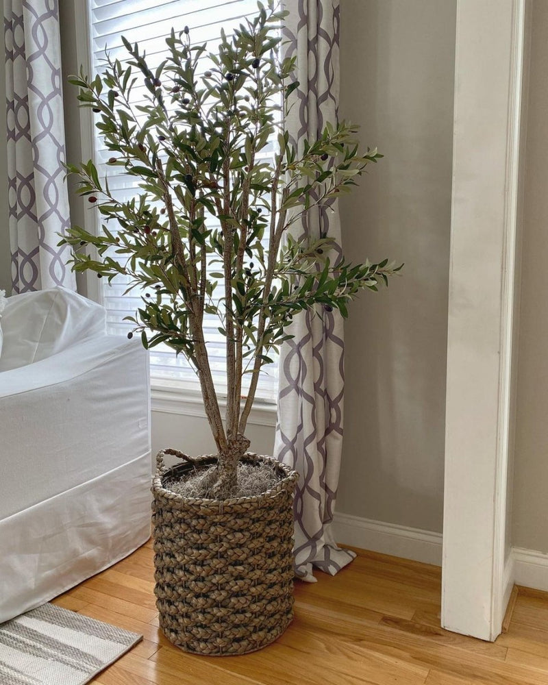 
                      
                        Nearly Natural 5' Olive Silk Tree - lily & onyx
                      
                    