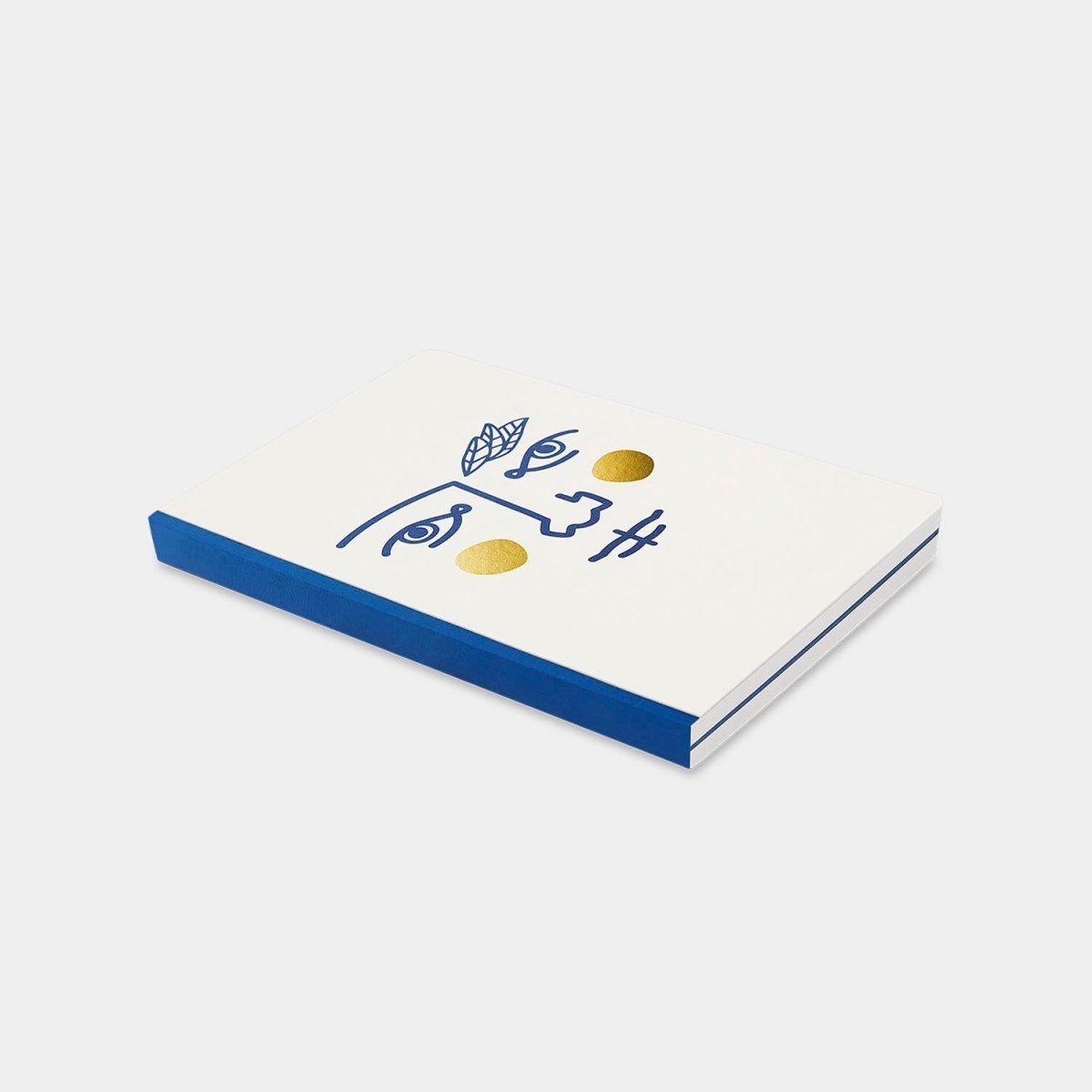 54Celsius OCTAEVO Janus Notebook A6