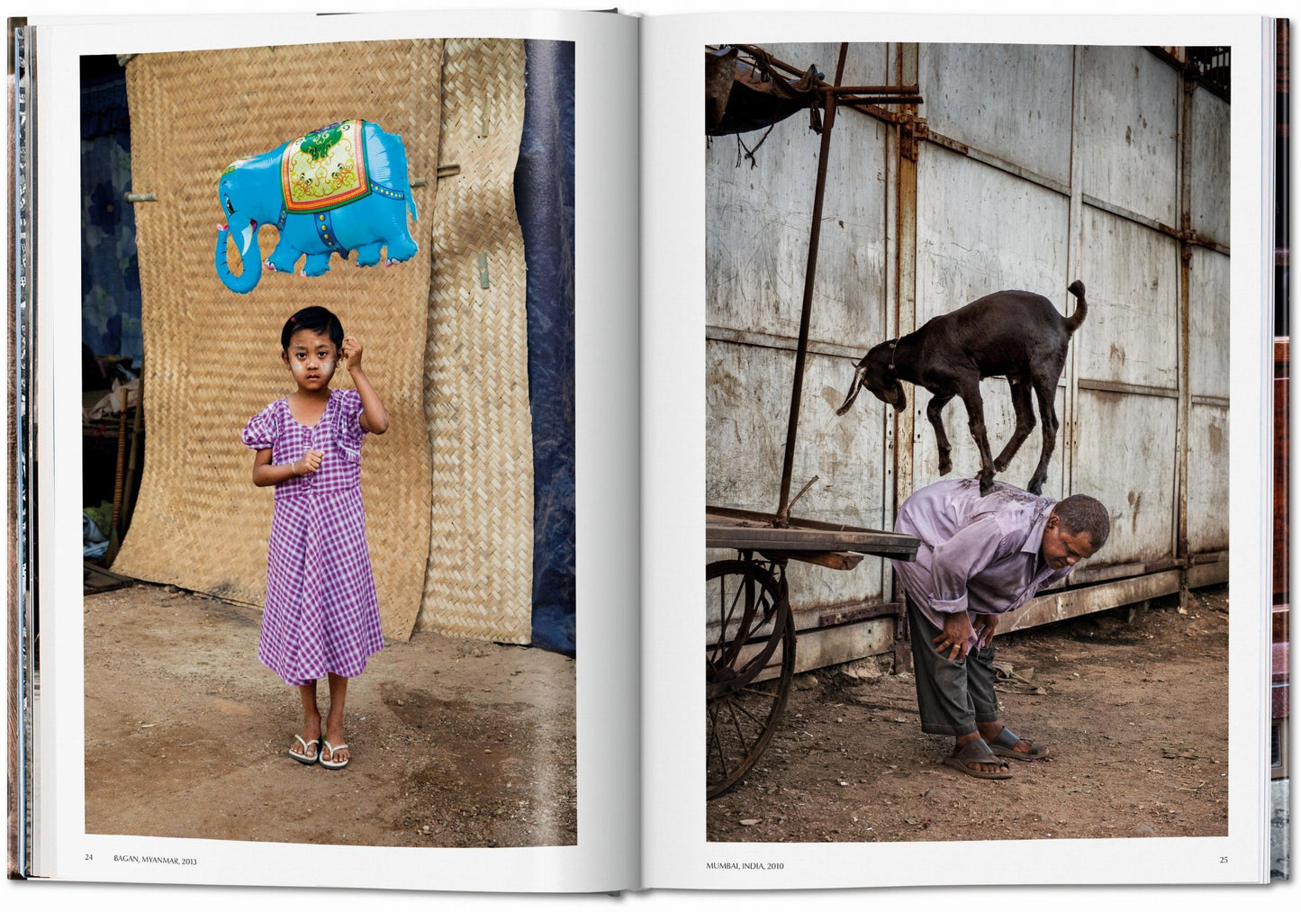 Steve McCurry. Animals (German, French, English)